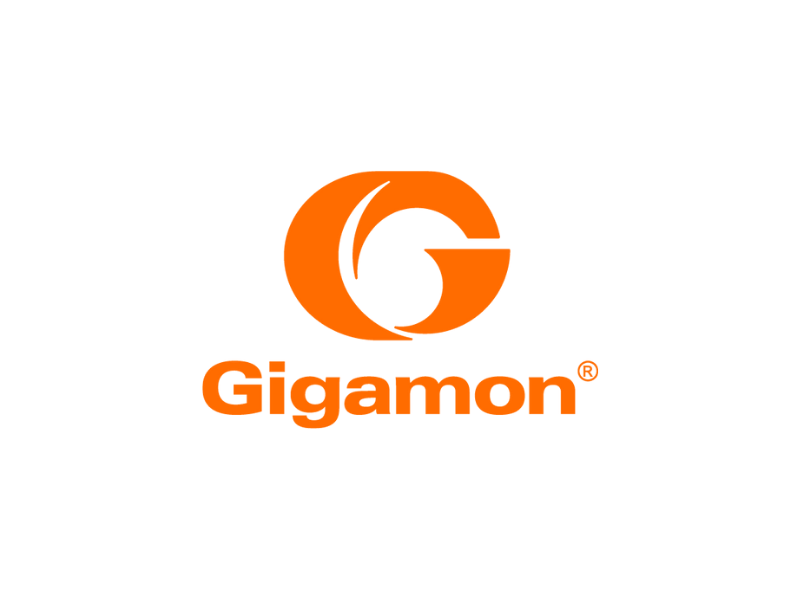 Gigamon